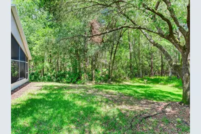 12502 Blazing Star Drive, Tampa, FL 33626 - Photo 27