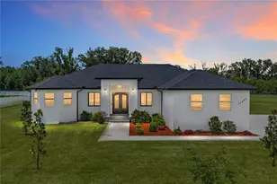 14080 Sydney Rd, Dover, FL 33527 - Photo 3