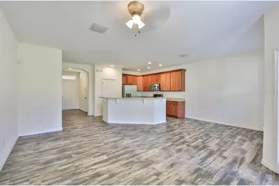 26948 Juniper Bay Drive, Wesley Chapel, FL 33544 - Photo 9