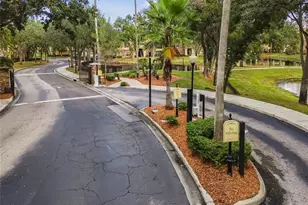 10203 Courtney Palms Blvd, Tampa, FL 33619 - Photo 47