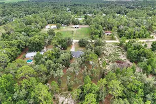 13931 SE 25 St, Morriston, FL 32668 - Photo 41