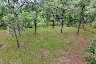 13931 SE 25 St, Morriston, FL 32668 - Photo 39