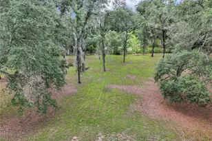 13931 SE 25 St, Morriston, FL 32668 - Photo 37