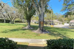 1059 Dunrobin Dr, Palm Harbor, FL 34684 - Photo 3
