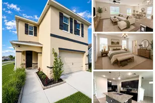 32649 Pez Landing Ln, Wesley Chapel, FL 33543 - Photo 1