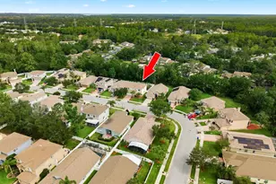 384 Wingate Cir, Oldsmar, FL 34677 - Photo 55