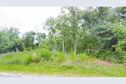 7402 Land Drive, Wesley Chapel, FL 33545 - Photo 1
