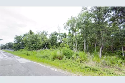7402 Land Drive, Wesley Chapel, FL 33545 - Photo 3