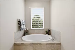 9167 Bella Vita Cir, Land O Lakes, FL 34637 - Photo 29