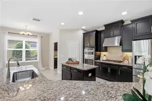 9167 Bella Vita Cir, Land O Lakes, FL 34637 - Photo 15