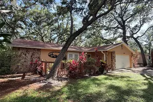 13828 Friendship Ln, Odessa, FL 33556 - Photo 3