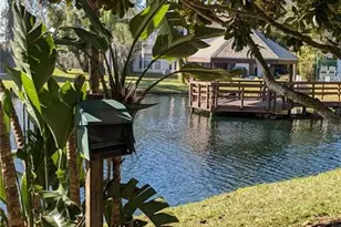 46 Emerald Bay Dr, Oldsmar, FL 34677 - Photo 21