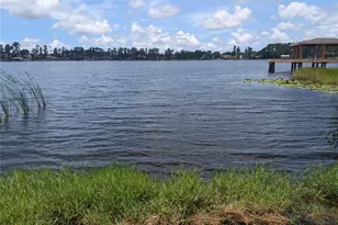 14232 Chisholm Ln, Odessa, FL 33556 - Photo 19