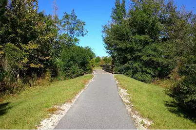 10093 Campanula Court, Land O Lakes, FL 34637 - Photo 57