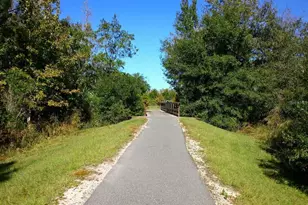 10093 Campanula Ct, Land O Lakes, FL 34637 - Photo 57