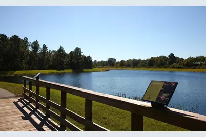 10093 Campanula Court, Land O Lakes, FL 34637 - Photo 55