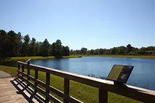 10093 Campanula Ct, Land O Lakes, FL 34637 - Photo 55