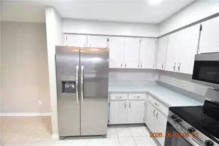 23223 Club Villas Dr, Land O Lakes, FL 34639 - Photo 17