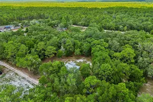 8855 SW 146th Pl, Dunnellon, FL 34432 - Photo 59