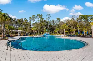 4528 Ballantrae Blvd, Land O Lakes, FL 34638 - Photo 47