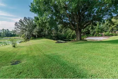 1107 Oxbridge Drive, Lutz, FL 33549 - Photo 7