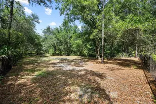 3851 Pacente Loop, Wesley Chapel, FL 33543 - Photo 37