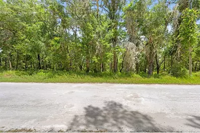0 Ricebird Avenue #Lot 8-9, Weeki Wachee, FL 34614 - Photo 19