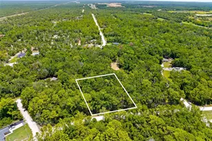 0 Ricebird Ave, Weeki Wachee, FL 34614 - Photo 1