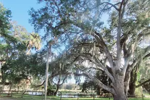 410 Landing Blvd, Inverness, FL 34450 - Photo 29