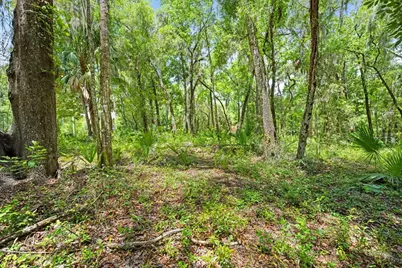 0 Ricebird Avenue #LOT 10-11, Weeki Wachee, FL 34614 - Photo 15