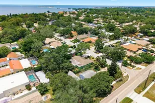 1603 Mexico Ave, Tarpon Springs, FL 34689 - Photo 47