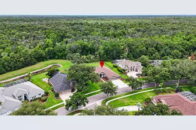 3904 S Nine Drive, Valrico, FL 33596 - Photo 83