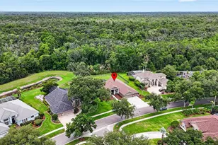 3904 S Nine Dr, Valrico, FL 33596 - Photo 83