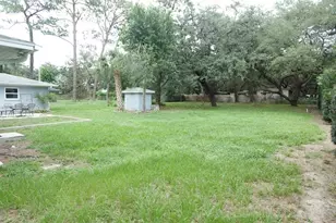 11715 N 51st St, Tampa, FL 33617 - Photo 51