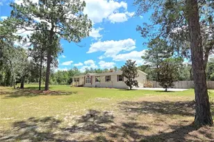 29341 Saddle Oaks Ln, Brooksville, FL 34602 - Photo 3