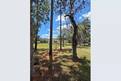 29341 Saddle Oaks Lane, Brooksville, FL 34602 - Photo 9