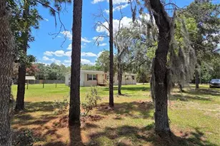 29341 Saddle Oaks Ln, Brooksville, FL 34602 - Photo 9