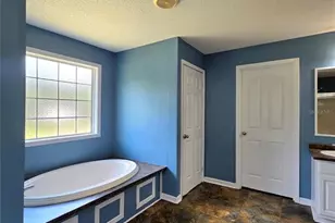 29341 Saddle Oaks Ln, Brooksville, FL 34602 - Photo 23