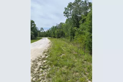 Cayman Road, Weeki Wachee, FL 34614 - Photo 3