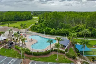 7521 Melogold Cir, Land O Lakes, FL 34637 - Photo 41