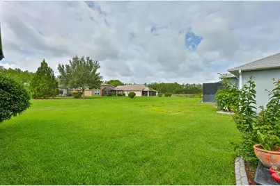 7521 Melogold Circle, Land O Lakes, FL 34637 - Photo 35