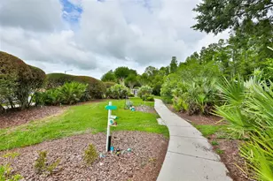 7521 Melogold Cir, Land O Lakes, FL 34637 - Photo 39
