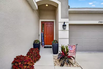 29894 Chapel Chase Drive, Wesley Chapel, FL 33545 - Photo 3