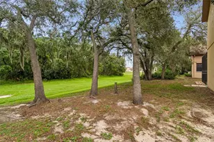 9311 Haas Dr, Hudson, FL 34669 - Photo 55