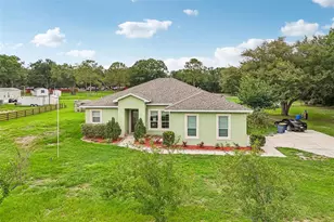 9876 Pangola Loop, Land O Lakes, FL 34639 - Photo 35