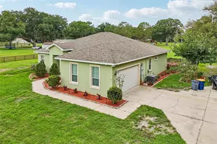 9876 Pangola Loop, Land O Lakes, FL 34639 - Photo 37