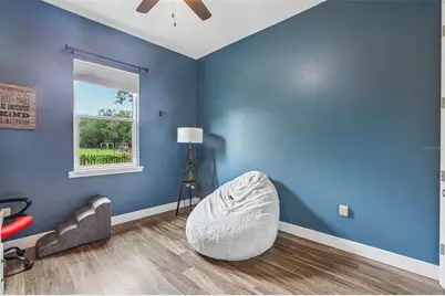 9876 Pangola Loop, Land O Lakes, FL 34639 - Photo 17