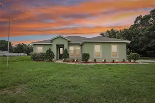 9876 Pangola Loop, Land O Lakes, FL 34639 - Photo 53