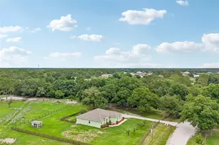 9876 Pangola Loop, Land O Lakes, FL 34639 - Photo 39