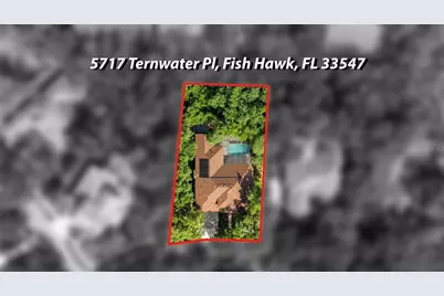 5717 Ternwater Place, Lithia, FL 33547 - Photo 57